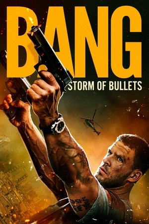 Bang (2025) Hindi (MULTI AUDIO) – –